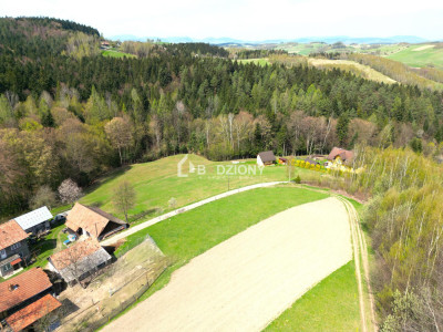 Działka z potencjałem w spokojnej okolicy  - Barcice Górne ul Kliny - nowosądecki  -
małopolskie Zdjęcie nr 8