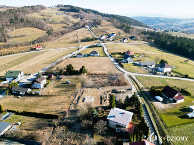 Działka z pięknym widokiem w miejscowości Zawadka gm Łososina Dolna - Zawadka  -
małopolskie Zdjęcie nr 10