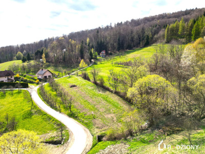 Widoki cisza i potencjał  działka w sercu Beskidu Wyspowego - Wola Kosnowa  -
małopolskie Zdjęcie nr 2