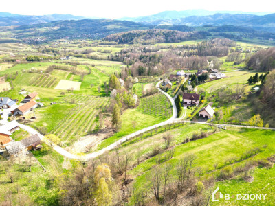 Widoki cisza i potencjał  działka w sercu Beskidu Wyspowego - Wola Kosnowa  -
małopolskie Zdjęcie nr 5