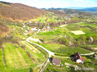 Widoki cisza i potencjał  działka w sercu Beskidu Wyspowego - Wola Kosnowa  -
małopolskie Zdjęcie nr 7