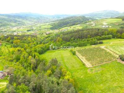 Działka rolna w miejscowości Łącko o łącznej powierzchni 76 arów - Łącko  -
małopolskie Zdjęcie nr 9