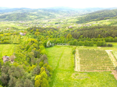 Działka rolna w miejscowości Łącko o łącznej powierzchni 76 arów - Łącko  -
małopolskie Zdjęcie nr 10