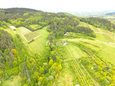 Działka rolna w miejscowości Łącko o łącznej powierzchni 76 arów - Łącko  -
małopolskie Zdjęcie nr 12