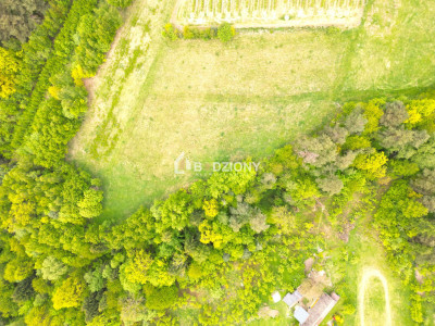 Działka rolna w miejscowości Łącko o łącznej powierzchni 76 arów - Łącko  -
małopolskie Zdjęcie nr 15