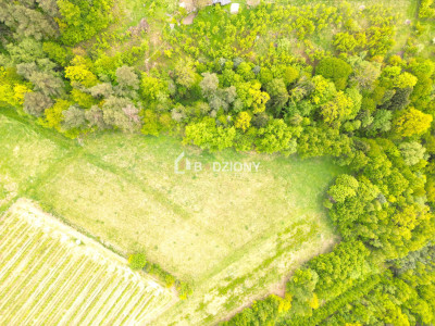 Działka rolna w miejscowości Łącko o łącznej powierzchni 76 arów - Łącko  -
małopolskie Zdjęcie nr 17