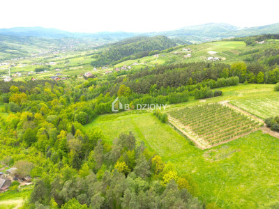 Działka rolna w miejscowości Łącko o łącznej powierzchni 76 arów - Łącko  -
małopolskie Zdjęcie nr 7