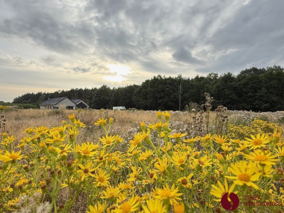 Na sprzedaż działka budowlana - Kaźmierz - wielkopolskie