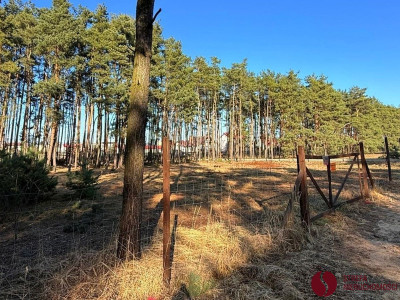 Na sprzedaż działka budowlana - Konin -
wielkopolskie Zdjęcie nr 2