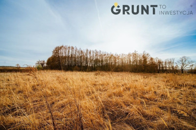 Na sprzedaż działka budowlana - Kiełczygłów -
łódzkie Zdjęcie nr 11