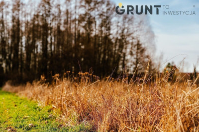 Na sprzedaż działka budowlana - Działoszyn -
łódzkie Zdjęcie nr 10