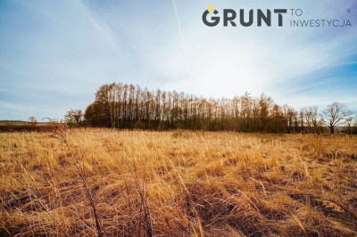 Na sprzedaż działka budowlana - Działoszyn -
łódzkie Zdjęcie nr 11