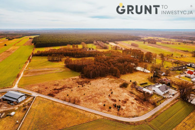 Na sprzedaż działka budowlana - Działoszyn -
łódzkie Zdjęcie nr 6