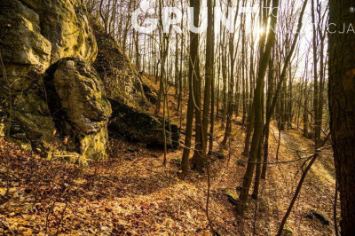 Na sprzedaż działka budowlana - Klucze -
małopolskie Zdjęcie nr 12