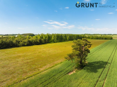 Na sprzedaż działka budowlana - Siemiatycze -
podlaskie Zdjęcie nr 3