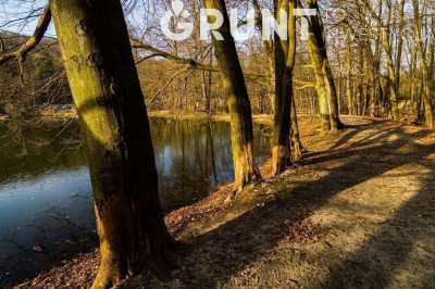 Na sprzedaż działka budowlana - Włoszczowa -
świętokrzyskie Zdjęcie nr 13