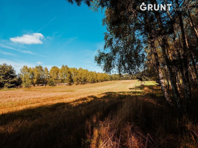 Na sprzedaż działka budowlana - Bełchatów -
łódzkie Zdjęcie nr 8
