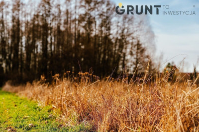 Na sprzedaż działka budowlana - Bełchatów -
łódzkie Zdjęcie nr 10