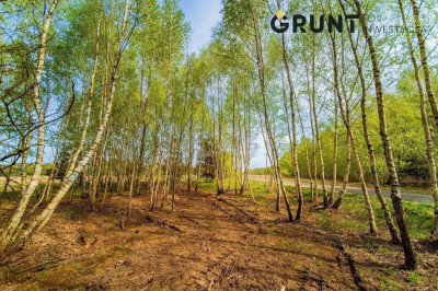 Na sprzedaż działka budowlana - Głowno -
łódzkie Zdjęcie nr 9