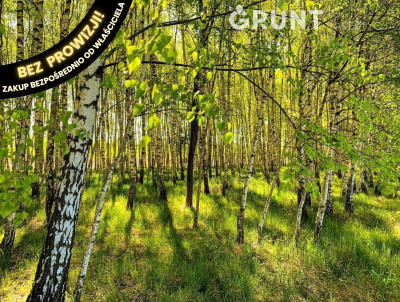 Na sprzedaż działka budowlana - Augustówka -
mazowieckie Zdjęcie nr 7