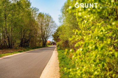 Na sprzedaż działka budowlana - Łowicz -
łódzkie Zdjęcie nr 11