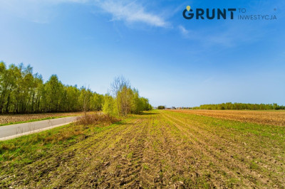 Na sprzedaż działka budowlana - Łowicz -
łódzkie Zdjęcie nr 8