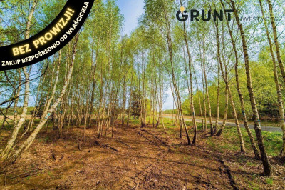 Na sprzedaż działka budowlana - Stachlew -
łódzkie Zdjęcie nr 9