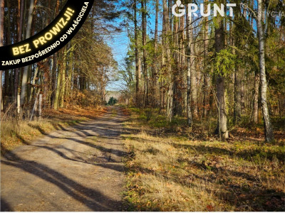 Na sprzedaż działka budowlana - Toruń -
kujawsko-pomorskie Zdjęcie nr 7