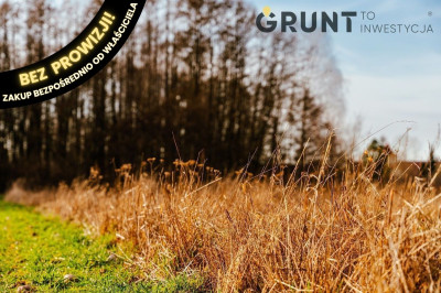 Na sprzedaż działka budowlana - Chorzew -
łódzkie Zdjęcie nr 10