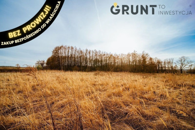 Na sprzedaż działka budowlana - Chorzew -
łódzkie Zdjęcie nr 11