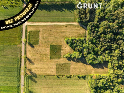 Na sprzedaż działka budowlana - Dzbądz -
mazowieckie Zdjęcie nr 5