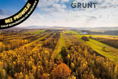 Na sprzedaż działka budowlana - Przyjmo -
świętokrzyskie Zdjęcie nr 4