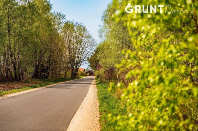 Na sprzedaż działka budowlana - Nieborów -
łódzkie Zdjęcie nr 11