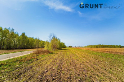 Na sprzedaż działka budowlana - Nieborów -
łódzkie Zdjęcie nr 8