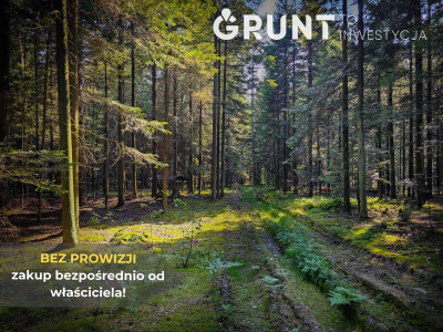 Na sprzedaż działka budowlana - Wola Kopcowa -
świętokrzyskie Zdjęcie nr 9