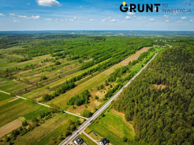 Na sprzedaż działka budowlana - Miedziana Góra -
świętokrzyskie Zdjęcie nr 6