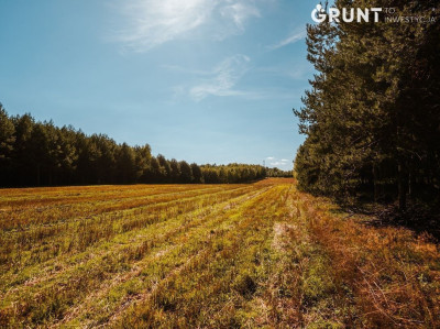 Na sprzedaż działka budowlana - Pajęczno -
łódzkie Zdjęcie nr 6