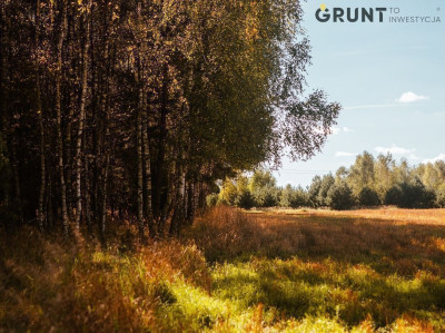 Na sprzedaż działka budowlana - Kietlin -
łódzkie Zdjęcie nr 8