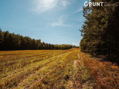 Na sprzedaż działka budowlana - Miedźno -
śląskie Zdjęcie nr 7