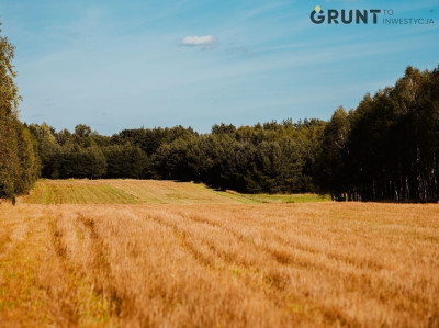Na sprzedaż działka budowlana - Ostrowy nad Okszą -
śląskie Zdjęcie nr 12