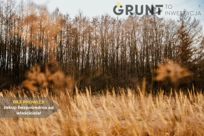 Na sprzedaż działka budowlana - Kiełczygłów -
łódzkie Zdjęcie nr 6