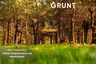 Na sprzedaż działka budowlana - Włoszczowa -
świętokrzyskie Zdjęcie nr 9