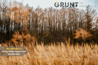 Na sprzedaż działka budowlana - Bełchatów -
łódzkie Zdjęcie nr 6