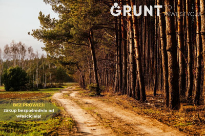 Na sprzedaż działka budowlana - Bełchatów -
łódzkie Zdjęcie nr 7