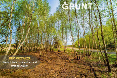 Na sprzedaż działka budowlana - Głowno -
łódzkie Zdjęcie nr 11