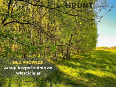 Na sprzedaż działka budowlana - Augustówka -
mazowieckie Zdjęcie nr 10