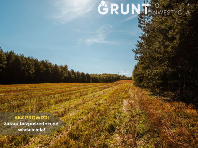 Na sprzedaż działka budowlana - Kłobuck -
śląskie Zdjęcie nr 9