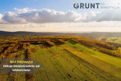 Na sprzedaż działka budowlana - Zagnańsk -
świętokrzyskie Zdjęcie nr 5