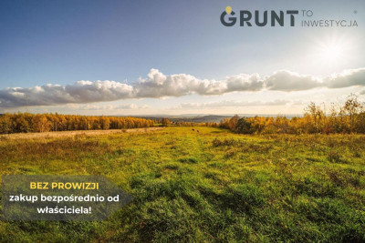 Na sprzedaż działka budowlana - Miedziana Góra -
świętokrzyskie Zdjęcie nr 6