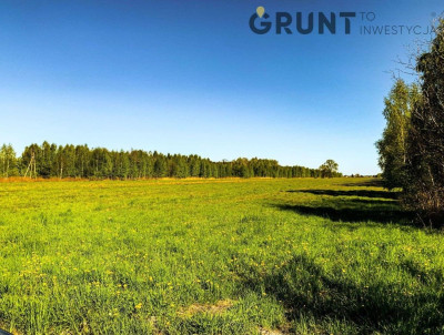 Na sprzedaż działka budowlana - Sulbiny -
mazowieckie Zdjęcie nr 9